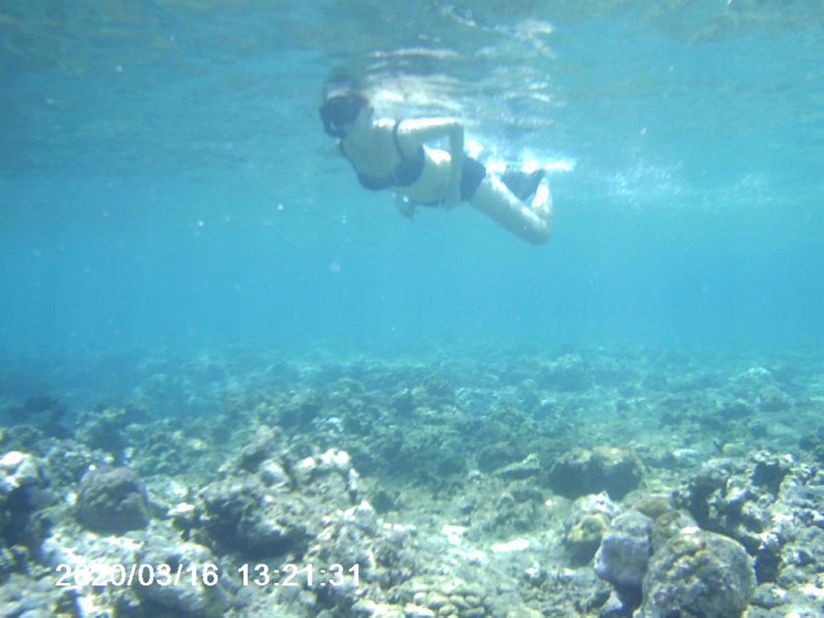 The Arya Guest House Gilimanuk Buitenkant foto